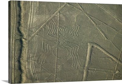Aerial view of spider drawing, Nazca Lines, Peru
