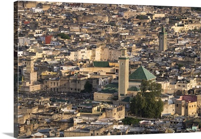 Africa, Morocco, Fes. Detail of the city from above at the Tombs du Merenides.