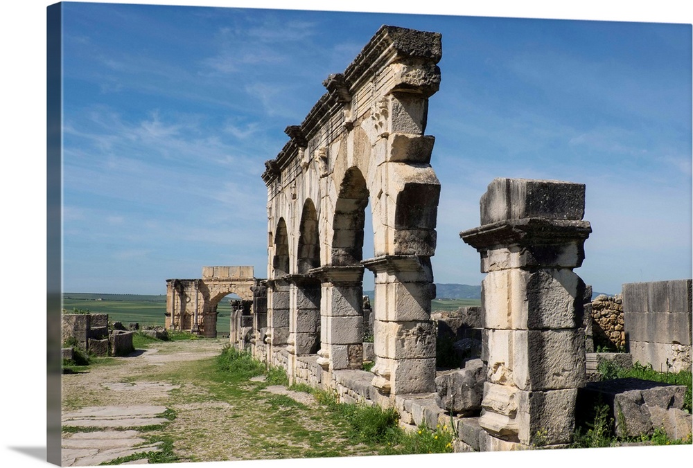 Africa, Morocco, Volubilis. Archeological site of ancient Roman ruins.