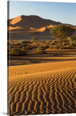 Africa, Namibia, Namib Desert,  Namib-Naukluft National Park, Sossusvlei