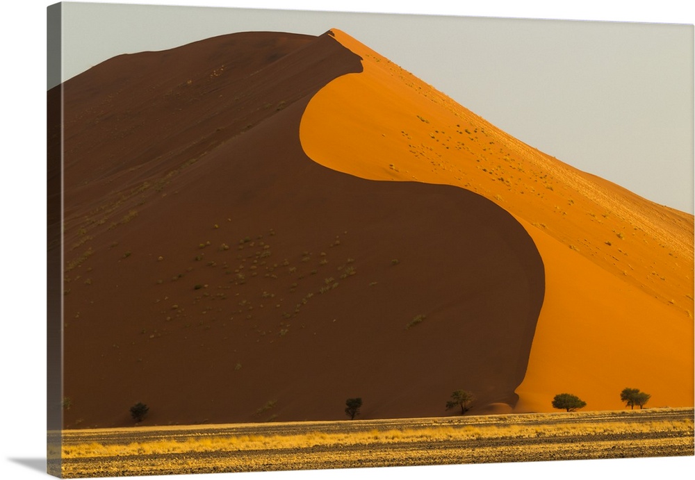 Africa, Namibia, Namib Desert,  Namib-Naukluft National Park, Sossusvlei.  Bands of golden grass contrast with the red of ...
