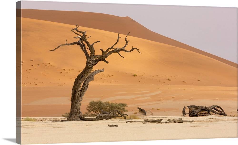 Africa, Namibia, Namib-Naukluft Park, Deadvlei. Dead tree and sand dunes.