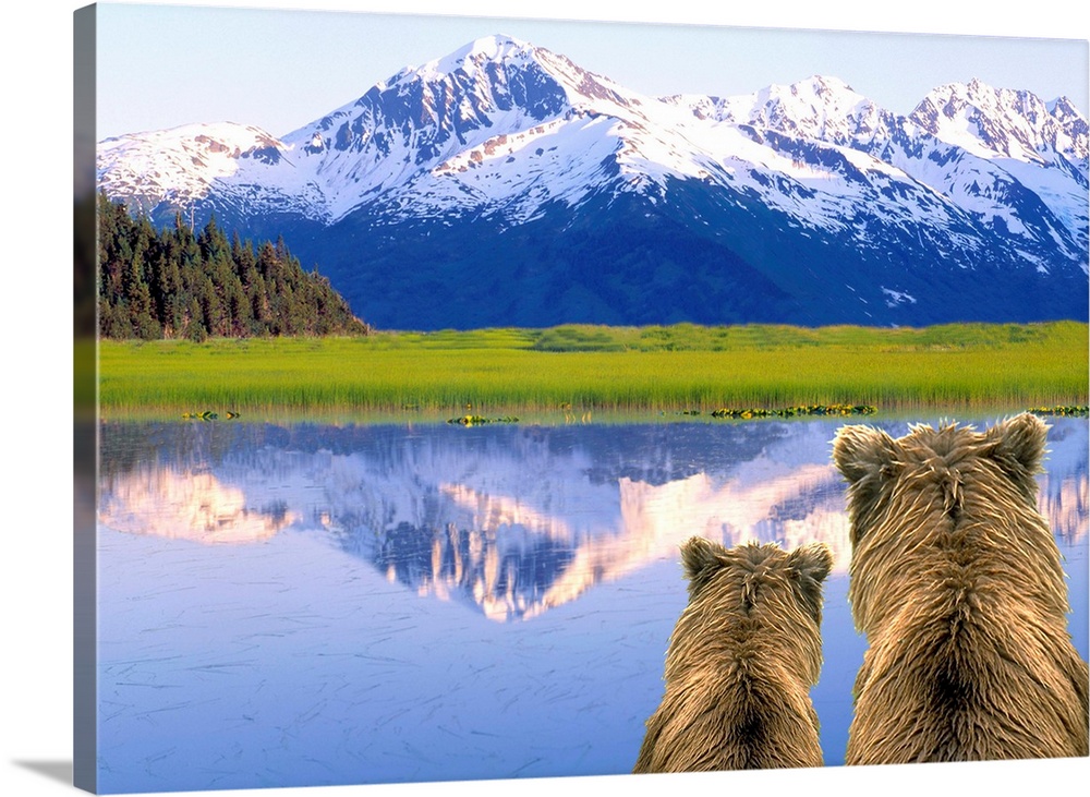 Alaska Brown Bears (Ursus arctos) Alaska, Digital Composite.