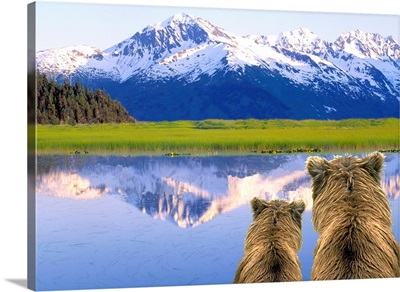 Alaska Brown Bears (Ursus Arctos) Alaska, Digital Composite
