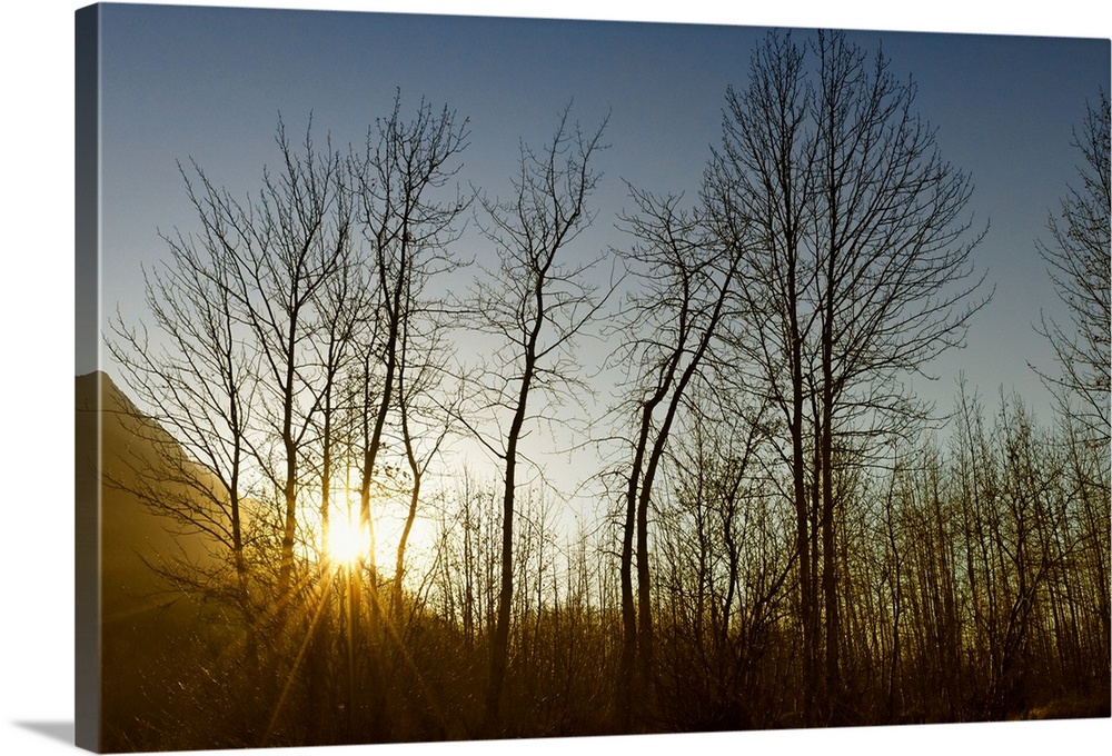 USA, Alaska, Knik River