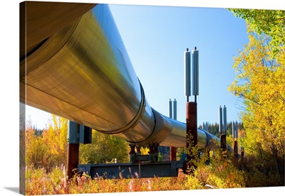 Alaska, Trans-Alaska Pipeline transports oil from Prudhoe Bay to Valdez, Alaska