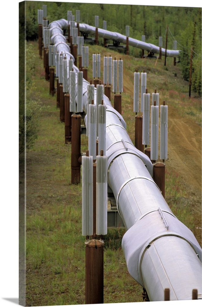 North America, USA, Alaska. Trans-Alaskan Pipeline.