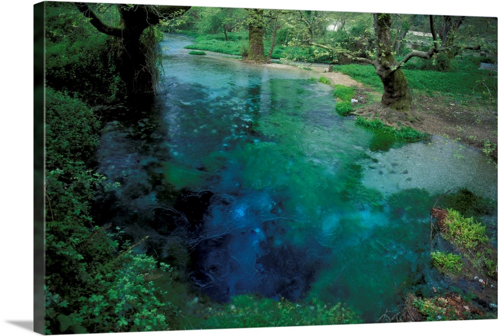 Europe, Albania. Blue Eye Spring, in forest surrounding Durres, natural spring of cold water
