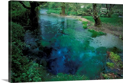 Albania. Blue Eye Spring, in forest surrounding Durres, natural spring of cold water
