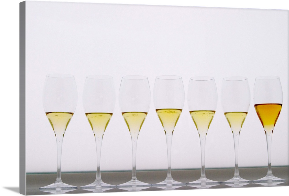 Analytical Wine Tasting Champagne Glasses | Large Metal Wall Art Print | Great Big Canvas