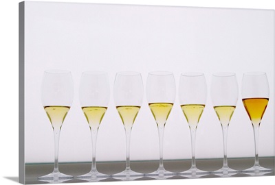 Analytical wine tasting champagne glasses