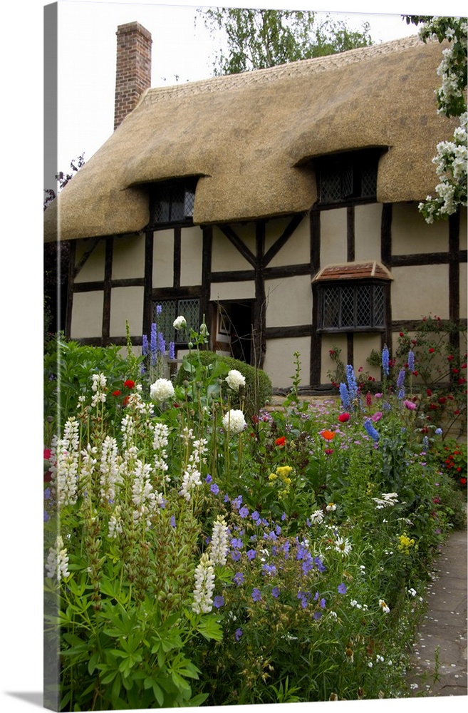 Europe, England, Midlands, Warwickshire, Stratford-upon-Avon. Anne Hathaway's Cottage (Shakespeare's wife). THIS IMAGE RES...