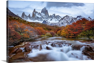 Argentina, Los Glaciares National Park, Mt. Fitz Roy And Lenga Beech Trees In Fall