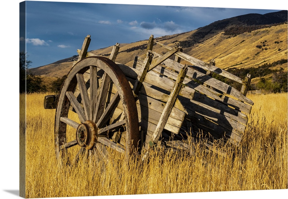 Argentina, Patagonia. Old rustic wagon