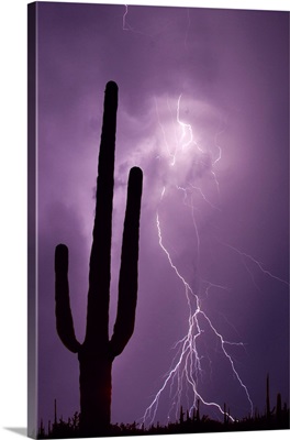 Arizona. Composite of saguaro cactus and lightning