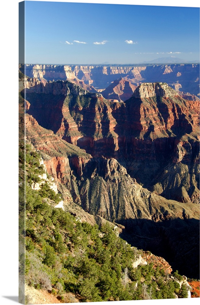 North America, USA, Arizona, Grand Canyon National Park, North Rim. Canyon view with mountains of Flagstaff, Arizona in th...
