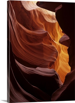 Arizona, Navajo Tribal Land, sunlight creates amber walls in Antelope Canyon