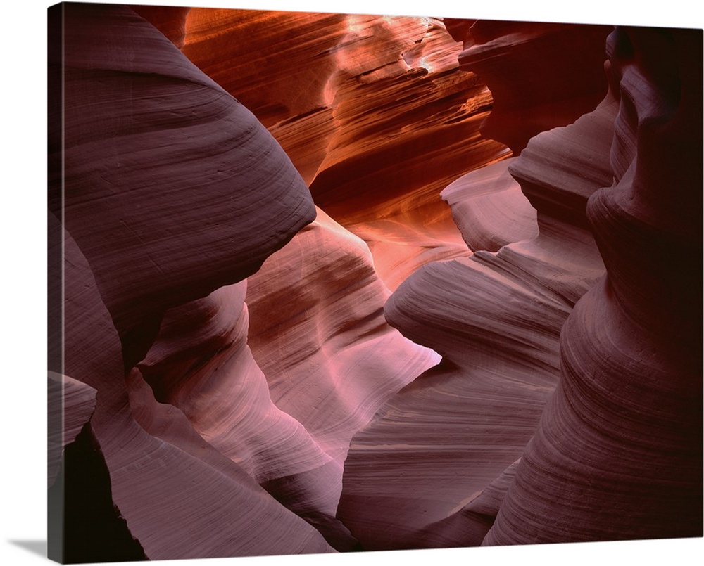 USA, Arizona, Navajo Tribal Park, Erosion of Navajo Sandstone by water has resulted in the dramatic contours of Lower Ante...