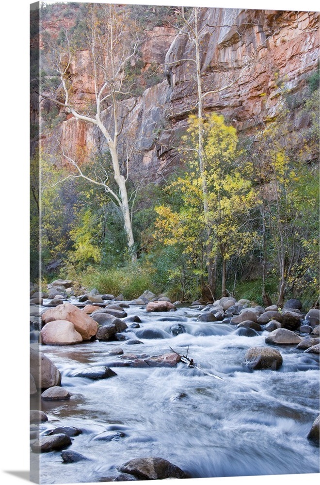 Arizona, Oak Creek Canyon and trees with fall color Wall Art, Canvas ...