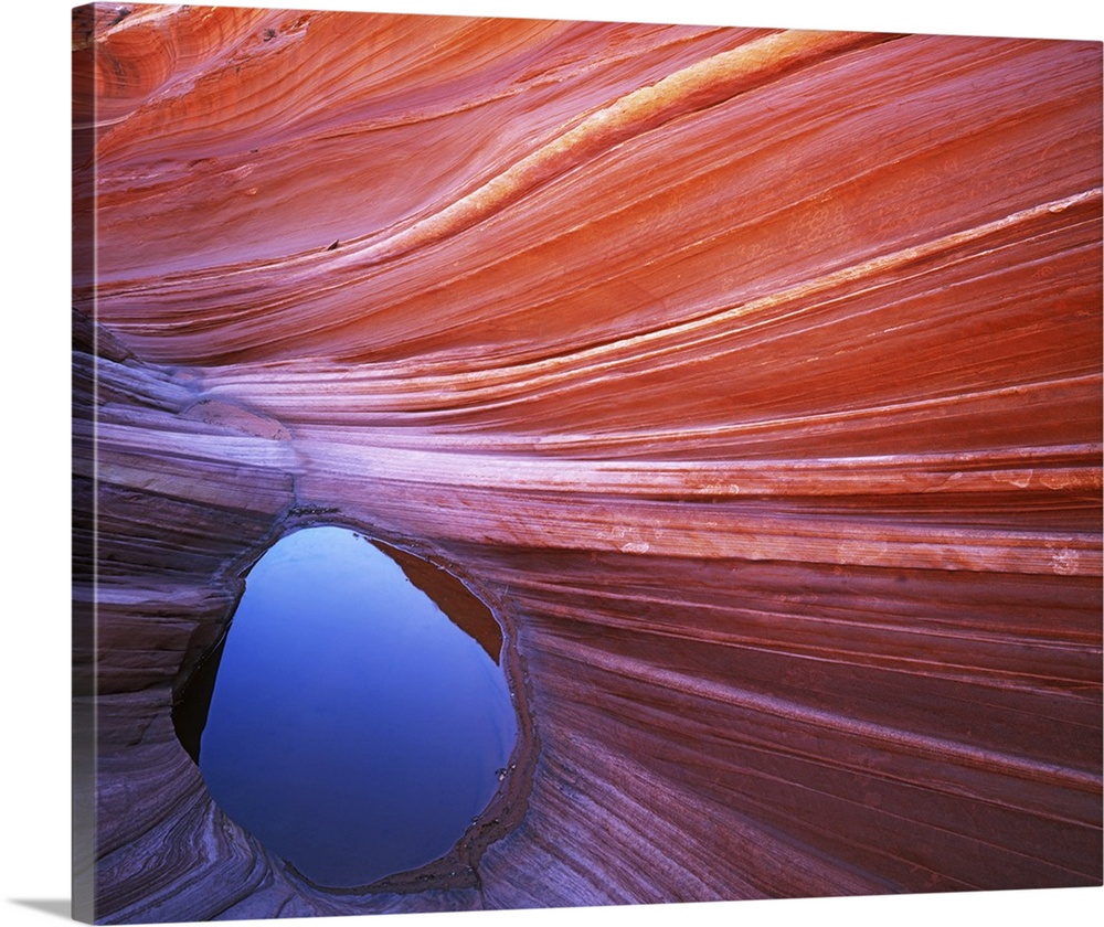USA, Arizona, Vermilion Cliffs National Monument, Paria-Vermilion Cliffs Wilderness, Pool in Sandstone on the Colorado Pla...
