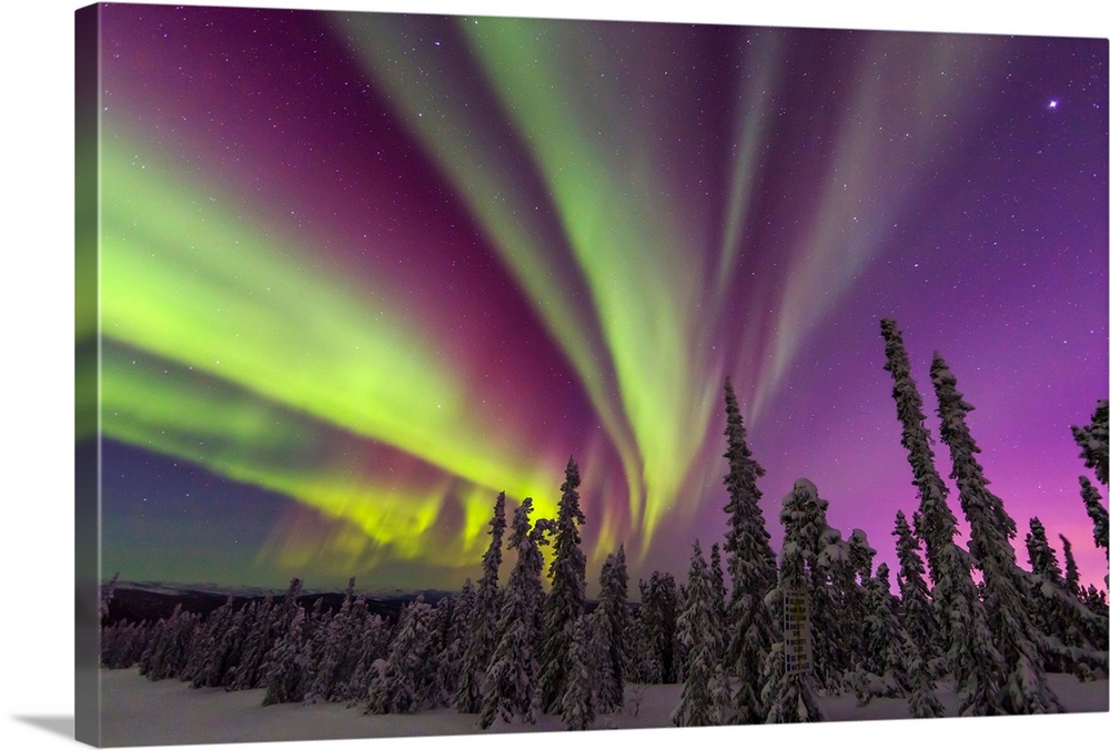 Aurora borealis, northern lights, near Fairbanks, Alaska.