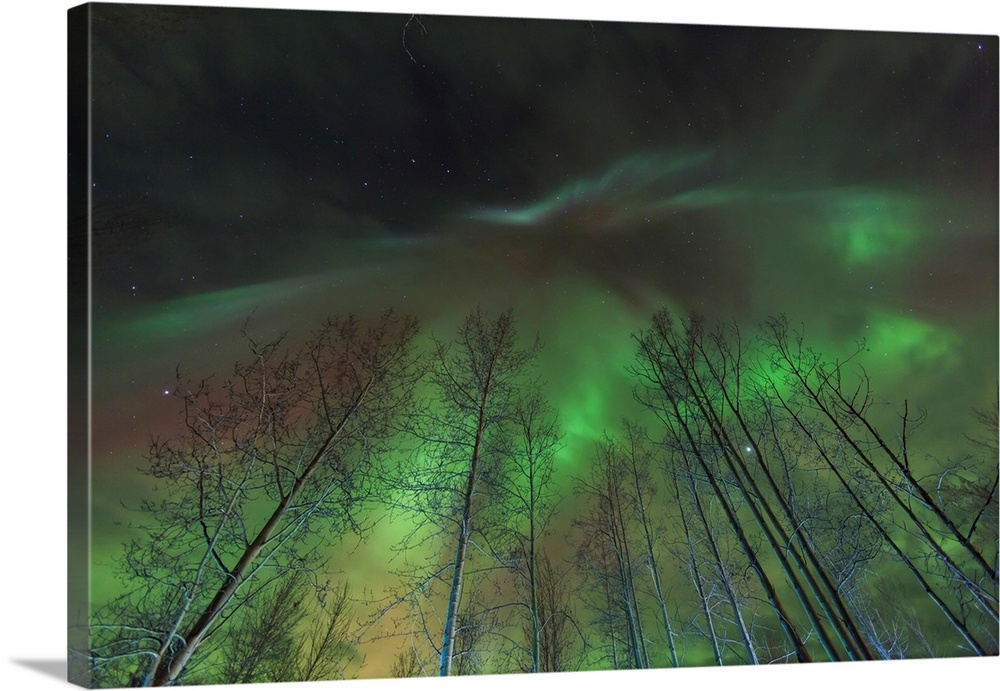 Aurora borealis, northern lights, near Fairbanks, Alaska.