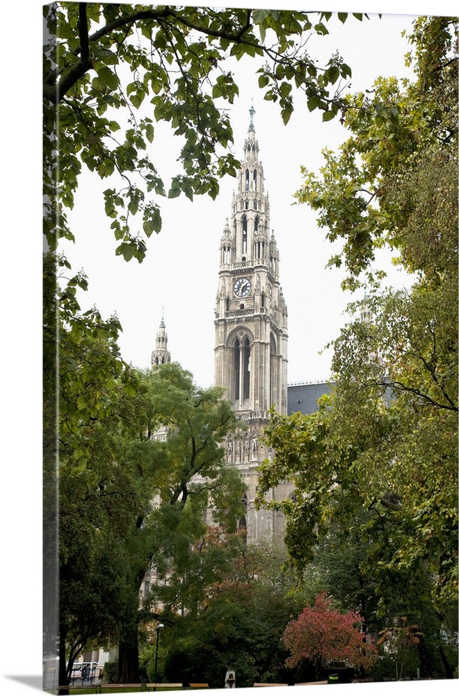 Vienna, Austria - Low angle view of an ornate, old world church. Trees are framing the building in the foreground. Vertica...