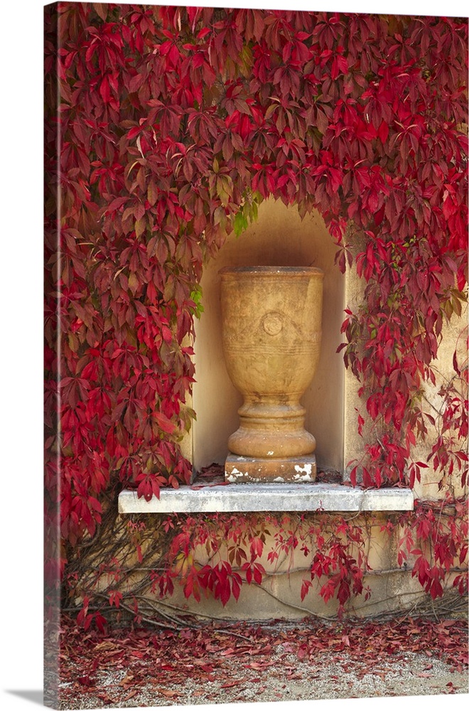 Autumn color at the Italian Renaissance Garden, Hamilton, Waikato, North Island, New Zealand.