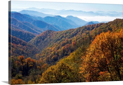 Autumn Color On Trees, Mountain Vista, Great Smoky Mountain National Park, Tennessee