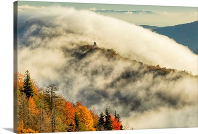 Autumn Colors And Mist At Sunrise, Blue Ridge Mountains At Sunrise, North Carolina