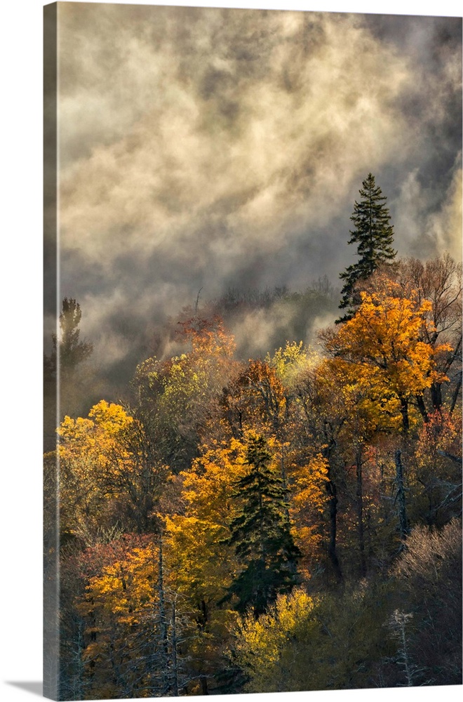 Autumn Colors and mist at sunrise, Blue Ridge Mountains from Blue Ridge Parkway at sunrise, North Carolina