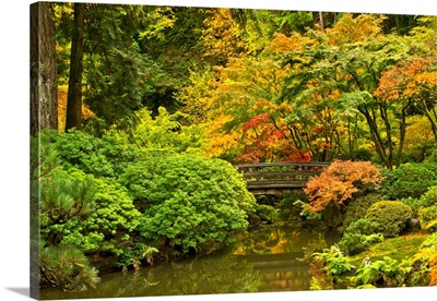 Autumn, Moon Bridge, Portland Japanese Garden, Portland, Oregon, USA