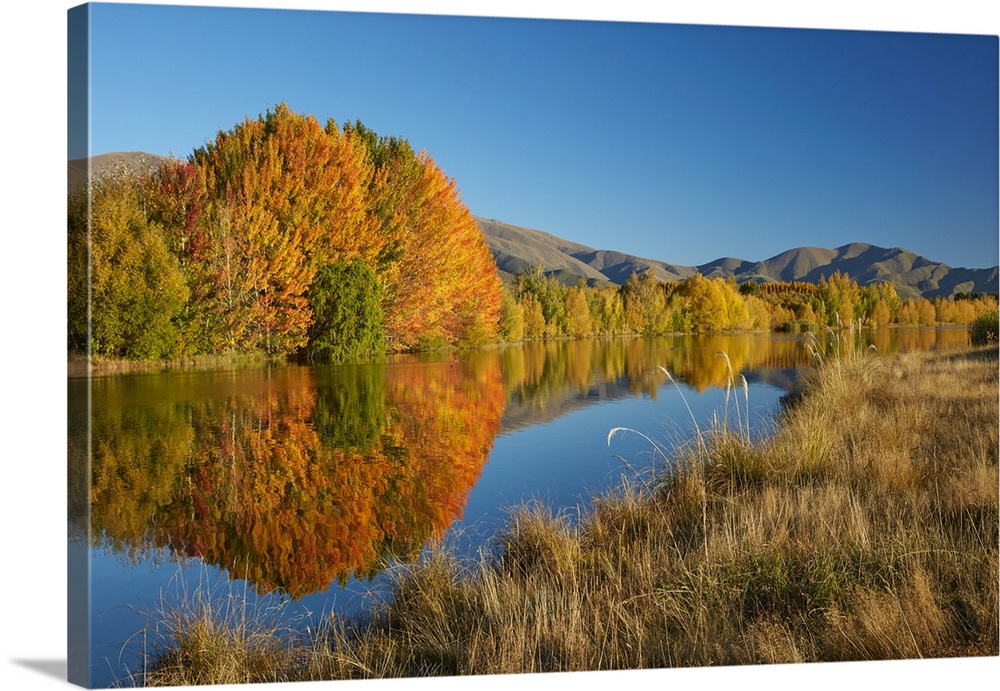 Autumn reflections in Kellands Pond, near Twizel, Mackenzie District, South Canterbury, South Island, New Zealand