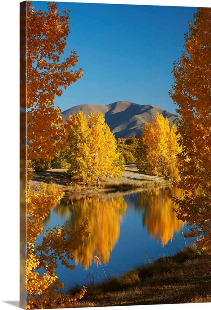 Autumn reflections in Kellands Pond, near Twizel, Mackenzie District, South Canterbury, South Island, New Zealand