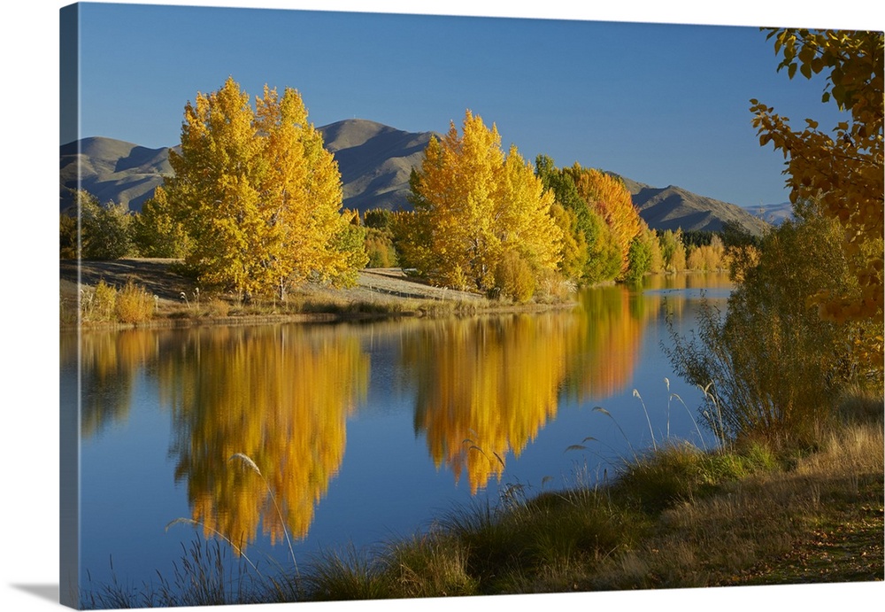 Autumn reflections in Kellands Pond, near Twizel, Mackenzie District, South Canterbury, South Island, New Zealand