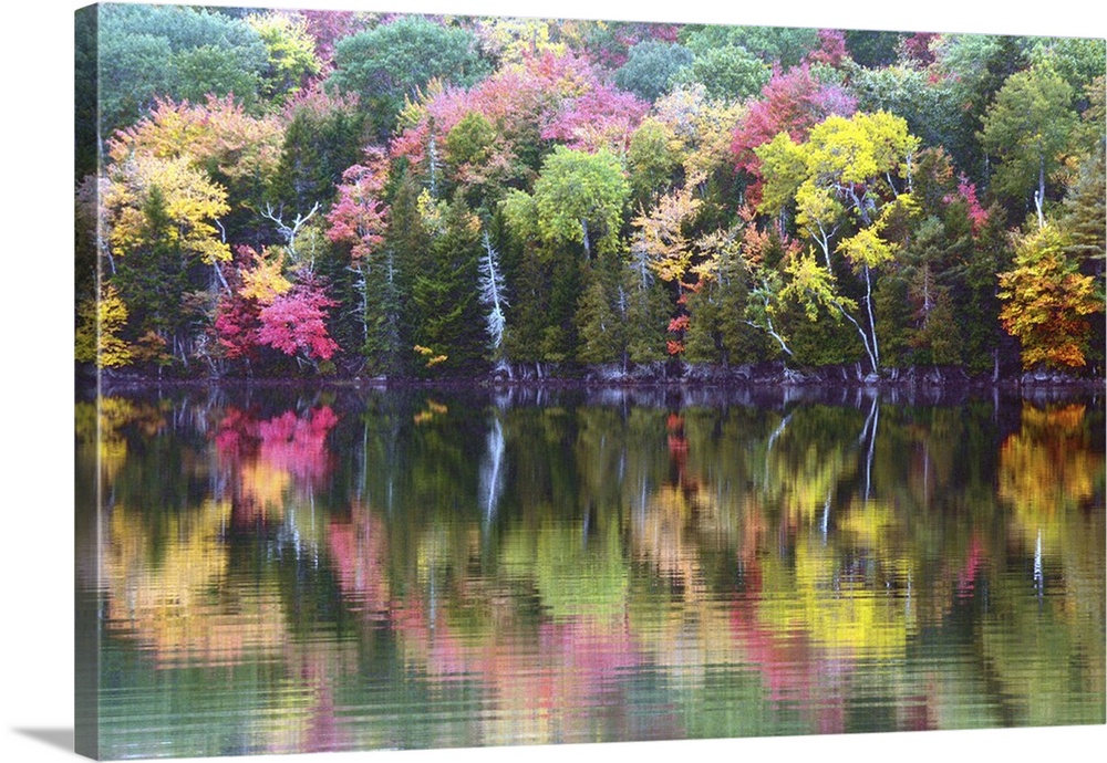 autumn trees; reflection; Great Long Pond; Somesville; Mount desert Island; Maine; USA