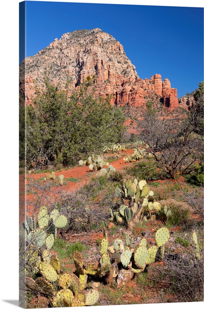 AZ, Sedona, Red Rock Country, Thunder Mountain.