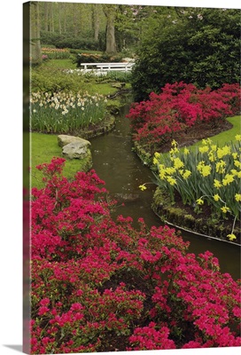 Azalea and daffodil garden, Keukenhof Gardens, Lisse, Netherlands, Holland