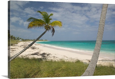 Bahamas, Abacos, Loyalist Cays, Elbow Cay, Hope Town Beach View