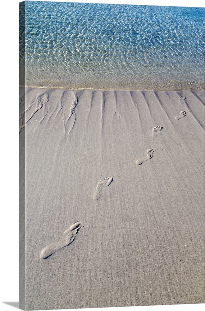 Bahamas, Exuma Island, Cays Land and Sea Park. Sand footprints.