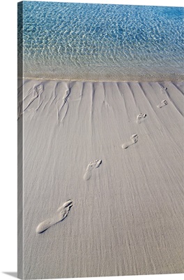 Bahamas, Exuma Island, Cays Land and Sea Park, Sand footprints