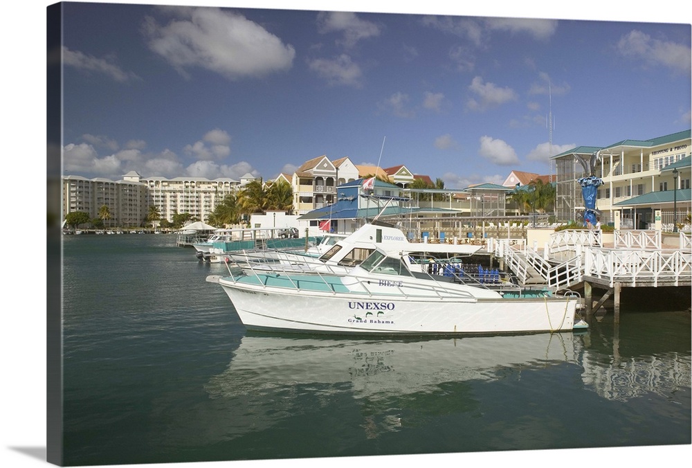 BAHAMAS-Grand Bahama Island-Lucaya:.Port Lucaya Marina-.UNEXSO (Underwater Explorers Society) Boats