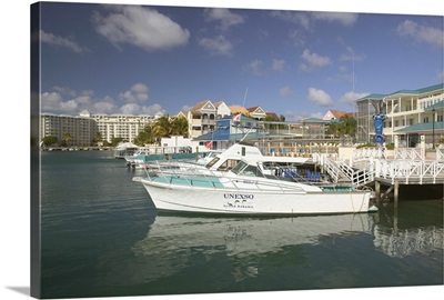 Bahamas, Grand Bahama Island, Lucaya, Port Lucaya Marina, UNEXSO Boats