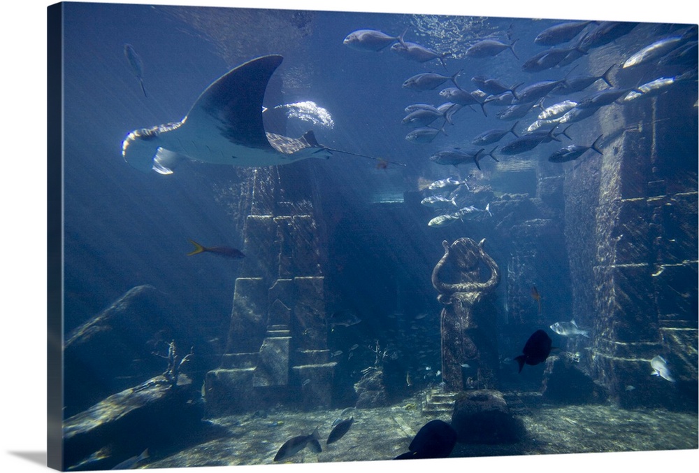 Inside the Atlantis Paradise Island Resort in the Bahamas! 