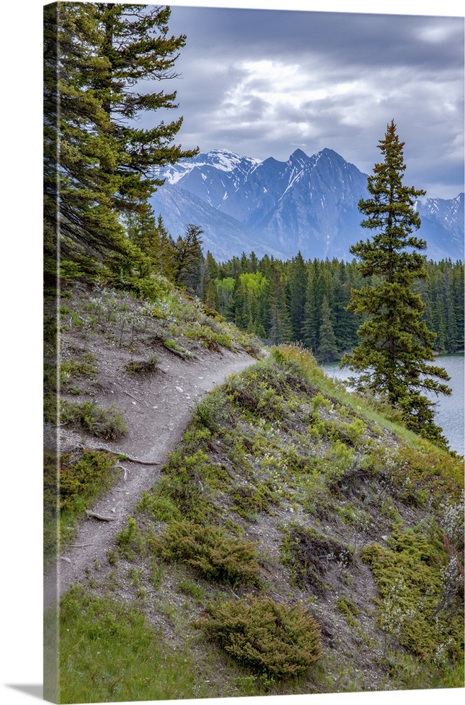 Banff National Park, Alberta, Canada. Path around Lake Louise.