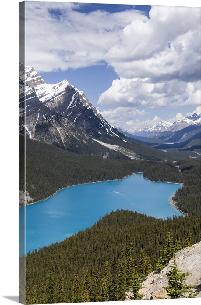 Banff National Park, Alberta, Canada. Peyto Lake along the Icefields Parkway scenic drive.