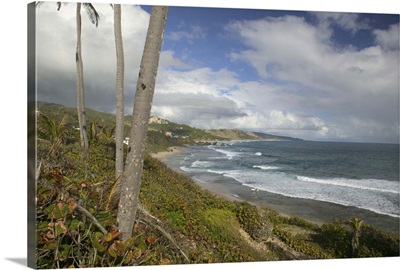 Barbados, Bathsheba, View of Soup Bowl Beach, Prime Barbados Surfing Spot