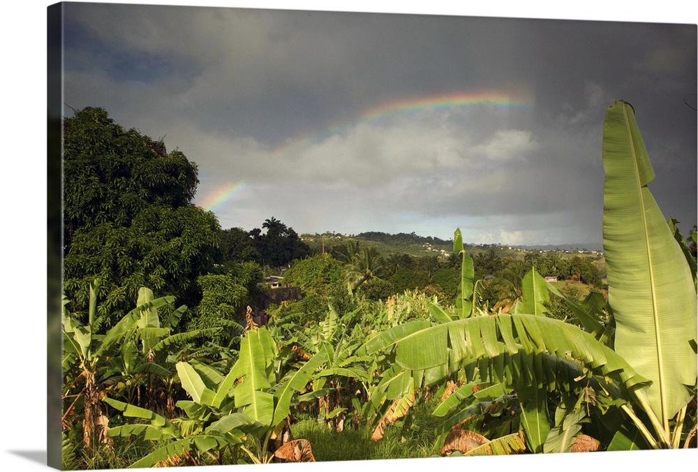 BARBADOS, St. Joseph Parish, Grey Clouds, Rainbow, Tropical Vegetation