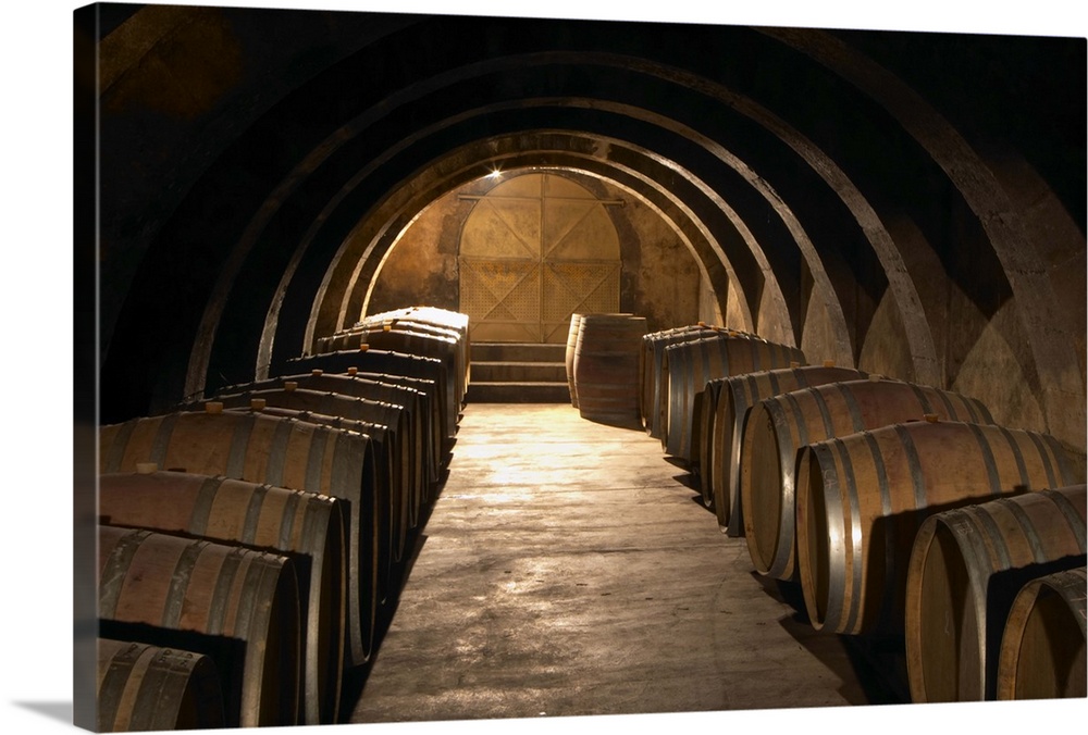 The barrel aging cellar with lines of barriques and dramatic lighting.  Chateau Mourgues du Gres Gr..s, Costieres de Nimes...