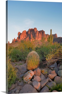Barrel Cactus In Front Of The Superstition Mountains, Lost Dutchman State Park, Arizona